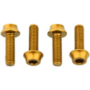 Bottle Cage Bolts - Set/4 - Aluminum