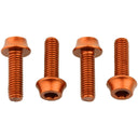 Bottle Cage Bolts - Set/4 - Aluminum