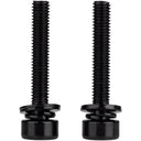 Caliper Mounting Bolts