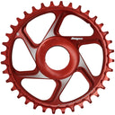 Shimano Spiderless Ebike Chainring