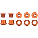 1x Chainring Bolt Sets - Dual Hex Fittings - 6mm