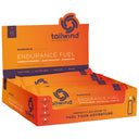Endurance Fuel