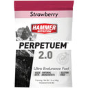 Perpetuem