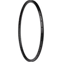 Belgium G Rim - Disc - Tubeless Ready - Black