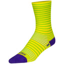 SGX Socks
