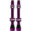 Tubeless Presta Valve Set