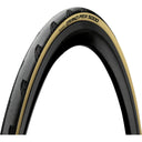 Grand Prix 5000 Tire - BlackChili - Vectran Breaker - LazerGrip - ACT - Folding - Clincher