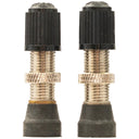 Tubeless Universal Valves - Brass - Silver