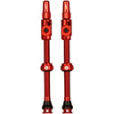 Big Bore Lite Tubeless Valve Stems
