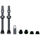 V2 Tubeless Valve Kit - Pair