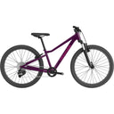 Kids Trail 24