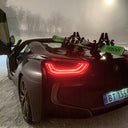 Pallavicini Ski Rack