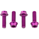 Bottle Cage Bolts - Set/4 - Aluminum