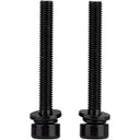 Caliper Mounting Bolts