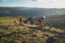 <p>Bike Insurance</p>