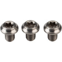 Eewings Chainring Bolts