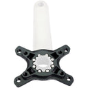 Eewings Crank Spider