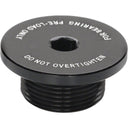 Bearing Adjust Caps