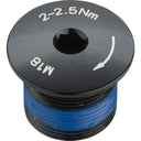 Crank Bolt
