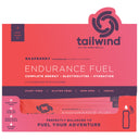 Endurance Fuel