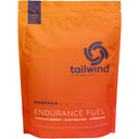 Endurance Fuel