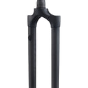 WCS Carbon Fork - 29" - Black