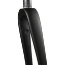 AR Disc Fork