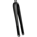 AR Disc Fork