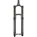 Domain RC Suspension Fork - 44 mm Offset - B1 - 15 x 110 - Black