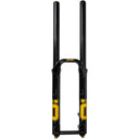 DH38 m.2 Suspension Fork