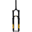 RXF36 m.3 Suspension Fork - 29" - 44mm Offset - TTX18 Damper - Dual Adjust Air Spring - 15mm x 110mm - Gloss Black