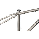 Fargo Ti Frameset - Raw - 29" - Titanium