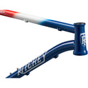 P-29er Frame - Team Edition - 29" - Steel