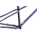 Sorceress Frame - Elderberry Tonic - Steel