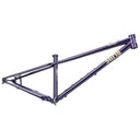 Sorceress Frame - Elderberry Tonic - Steel
