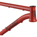 P-29er Frame - Team Edition - 29" - Steel