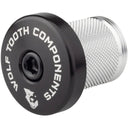 Compression Plug With Integrated Spacer Stem Cap