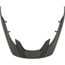 Helmet Visors