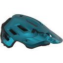 Roam MIPS Helmet