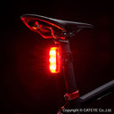 ViZ450 Taillight