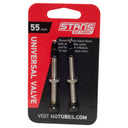 Tubeless Universal Valves - Brass - Silver