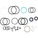 DHX2 Rebuild Kit