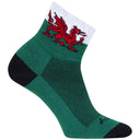 Classic Socks