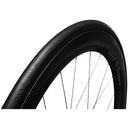 Ses Road Tire - Folding - Tubeless Ready Clincher