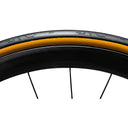 Ses Road Tire - Folding - Tubeless Ready Clincher