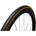 Ses Road Tire - Folding - Tubeless Ready Clincher