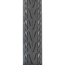Pasela Tire - Wire - Clincher