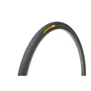 Pasela Tire - Wire - Clincher