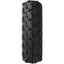 A Dugast Small Bird Tire