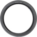 Path Pro Tire - Wire - Clincher - Black